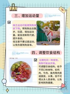 狗不吃不喝能活几天_狗狗多久能活？幼犬老年犬不同，不吃不喝要快送医