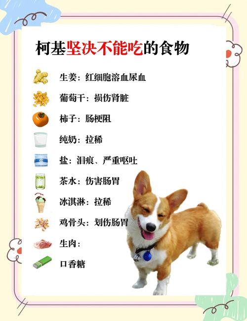 狗喜欢藏食物怎么回事_狗狗藏食天性与主人应对 狗喜欢藏食物怎么回事_狗狗藏食天性与主人应对