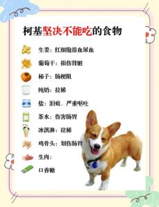 狗喜欢藏食物怎么回事_狗狗藏食天性与主人应对