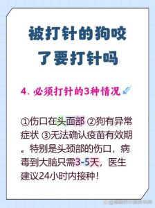 被狗咬了多久打针没事_狗咬伤24小时内接种疫苗最有效，及时处理伤口同样重要