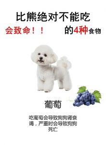 狗最怕三种水果_狗狗别吃葡萄樱桃柿子，苹果香蕉蓝莓西瓜可适量