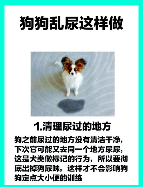 大狗憋着不上厕所会不会憋坏_狗狗憋尿憋便伤健康,定时遛狗是关键! 大狗憋着不上厕所会不会憋坏_狗狗憋尿憋便伤健康,定时遛狗是关键!