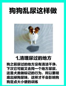 大狗憋着不上厕所会不会憋坏_狗狗憋尿憋便伤健康，定时遛狗是关键！
