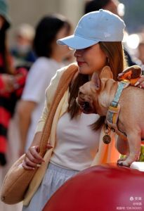 国外美女与两只可爱狗狗欢乐互动，共享温馨时光