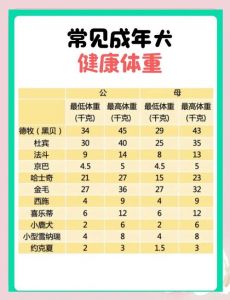 狗狗猛涨体重，精肉狗数量大增，严重增肥引发关注