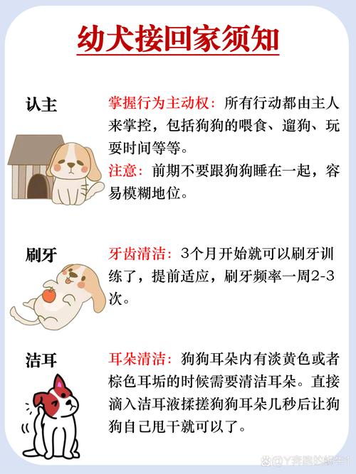 刚回家的小狗是否能与大狗和谐相处，了解它们的相处方式和注意事项