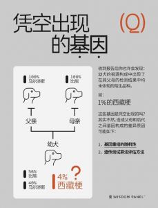 人马畜禽与狗的DNA相似程度分析：它们之间到底有多接近