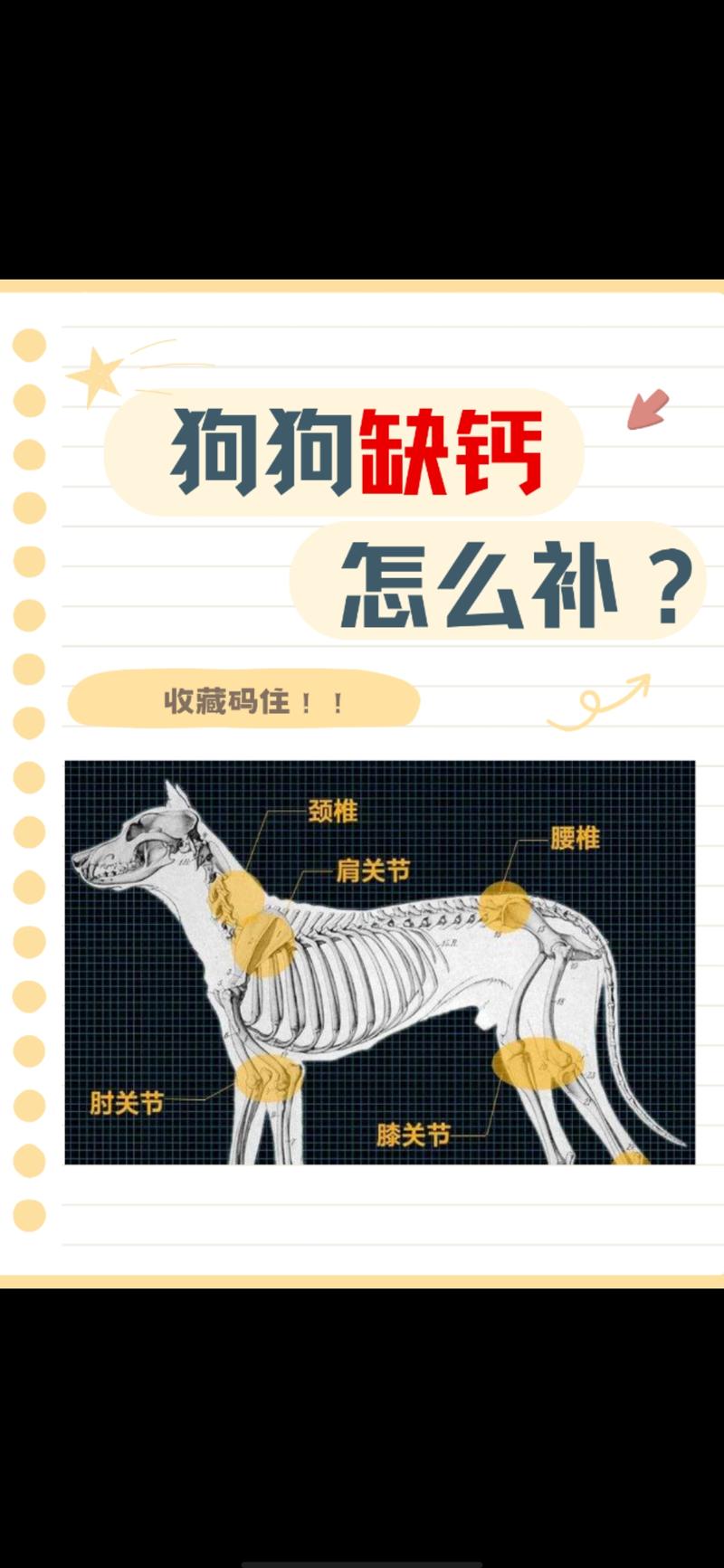 狗缺钙的10个征兆_狗狗缺钙易变形掉毛? 狗缺钙的10个征兆_狗狗缺钙易变形掉毛?