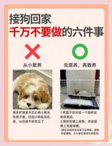 狗狗卡了一夜，预计需要住几分钟才能恢复正常？