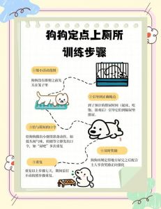 2个月泰迪怎么训练大小便_两个月泰迪定点大小便，选固定地点奖励