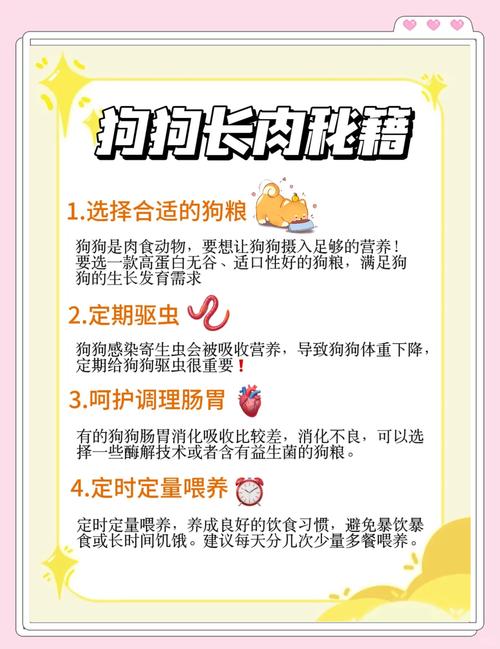 如何让小狗快速长胖_小狗瘦？科学喂养增体重！