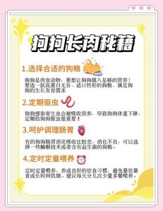 如何让小狗快速长胖_小狗瘦？科学喂养增体重！