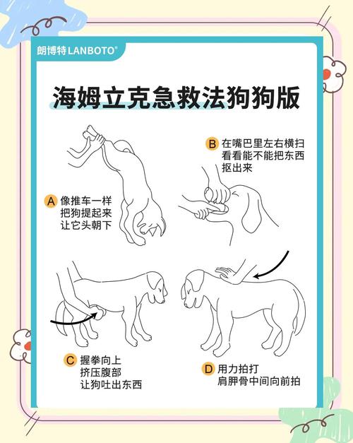 狗狗蝴蝶结卡住的原因解析:原理及解决方法 狗狗蝴蝶结卡住的原因解析:原理及解决方法