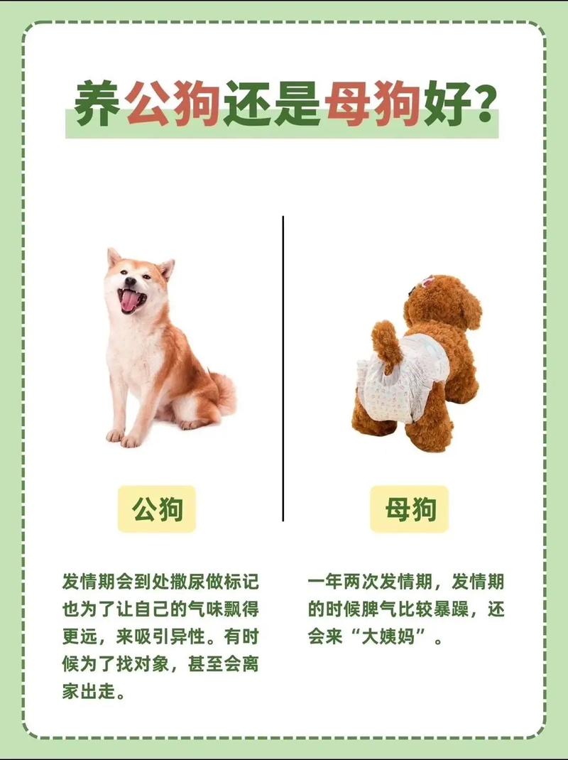 妈妈与小狗的情感连接:小众圈中对妈妈和宠物关系的深刻理解 妈妈与小狗的情感连接:小众圈中对妈妈和宠物关系的深刻理解