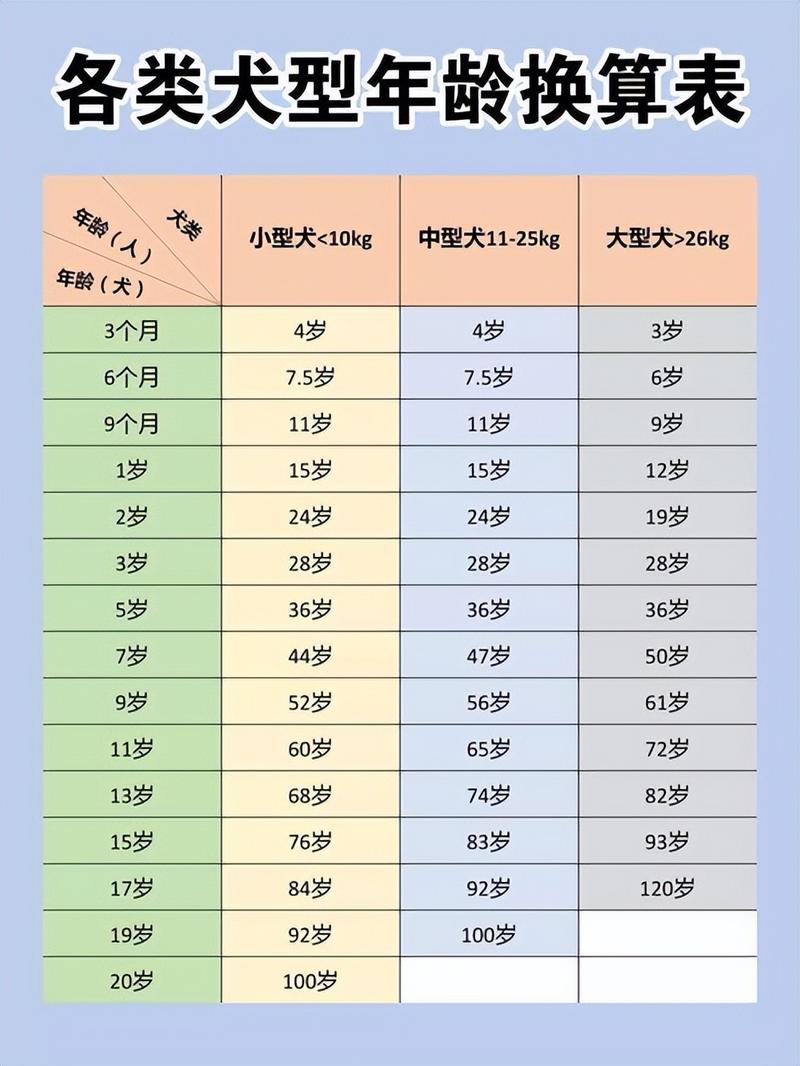 七岁狗狗相当于人几岁_狗狗7岁等于人几岁?科学照顾老龄犬! 七岁狗狗相当于人几岁_狗狗7岁等于人几岁?科学照顾老龄犬!