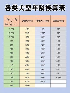 七岁狗狗相当于人几岁_狗狗7岁等于人几岁？科学照顾老龄犬！