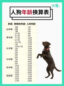 狗八岁相当于人多少岁_狗龄换算不简单？科学告诉你如何算！