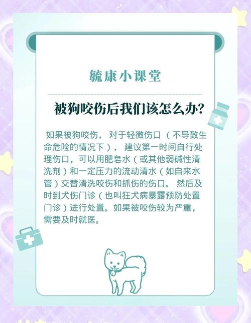 宠物狗被卡住后应急处理指南:家庭中如何安全应对宠物受困的情况 宠物狗被卡住后应急处理指南:家庭中如何安全应对宠物受困的情况