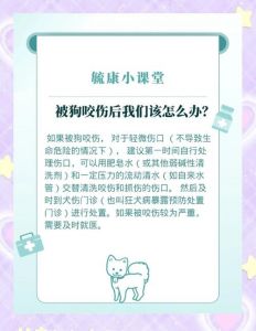 宠物狗被卡住后应急处理指南：家庭中如何安全应对宠物受困的情况