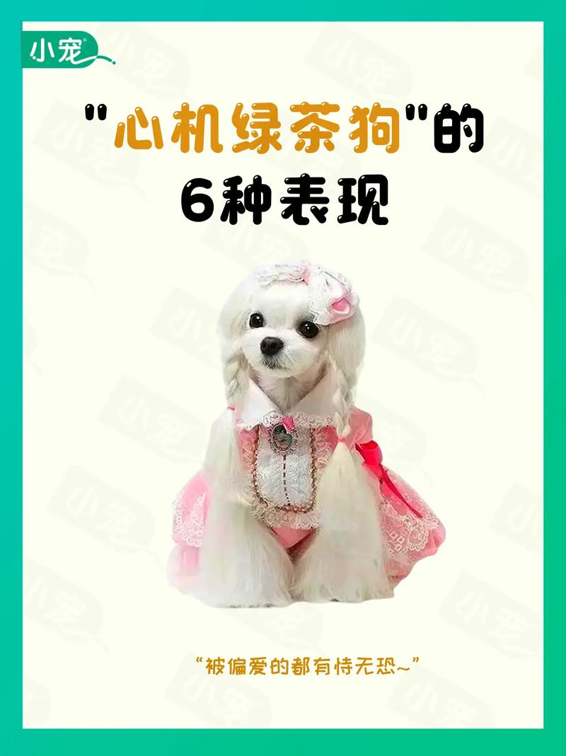 救命!腹黑奶狗弟弟竟然太绿茶,宠物日常中的暗藏心机 救命!腹黑奶狗弟弟竟然太绿茶,宠物日常中的暗藏心机