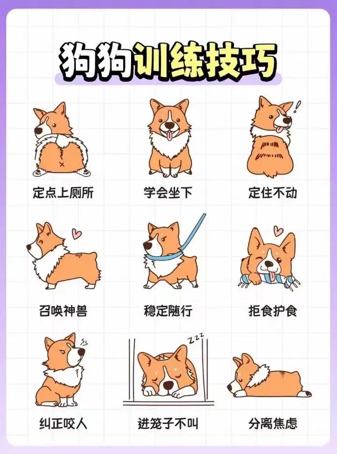 训狗的正确方法和技巧_养狗要训练,好习惯更亲人 训狗的正确方法和技巧_养狗要训练,好习惯更亲人