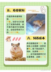 小孩子千万别养仓鼠_警惕！养仓鼠或致孩子过敏伤患，家长需注意安全