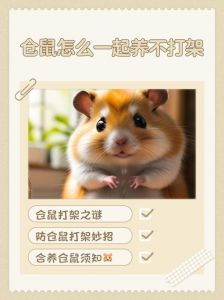 三只仓鼠可以一起养吗_三只仓鼠一起养？风险太高！