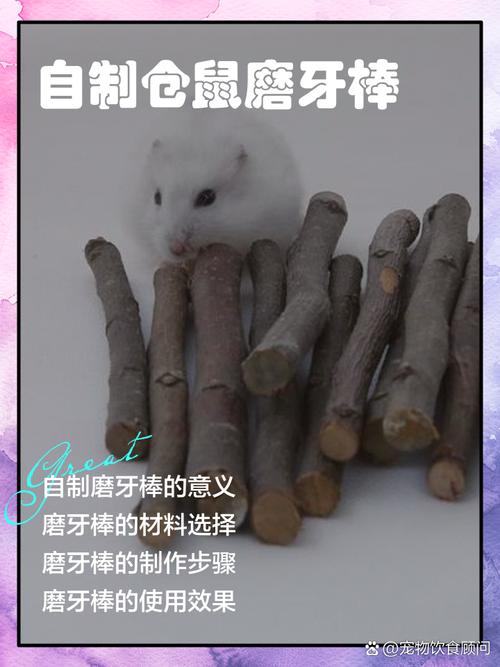 用一次性筷子代替仓鼠磨牙棒_警惕!筷子竟是仓鼠磨牙隐患,小心伤消化肝肾! 用一次性筷子代替仓鼠磨牙棒_警惕!筷子竟是仓鼠磨牙隐患,小心伤消化肝肾!
