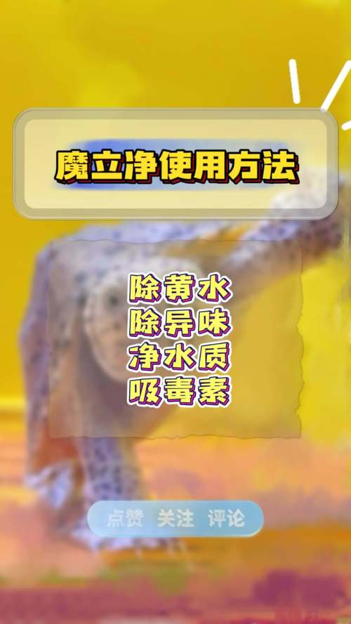 蛋黄喂鱼不坏水妙招_蛋黄喂鱼小窍门,鱼儿健康不坏水 蛋黄喂鱼不坏水妙招_蛋黄喂鱼小窍门,鱼儿健康不坏水