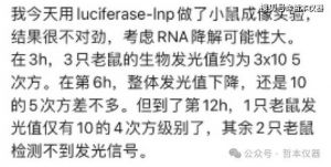 小鼠脱毛什么原因_小鼠脱毛原因及处理