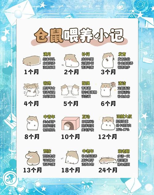 养小仓鼠的注意事项_选大笼配粮食,细心观察保健康 养小仓鼠的注意事项_选大笼配粮食,细心观察保健康