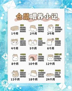 养小仓鼠的注意事项_选大笼配粮食，细心观察保健康