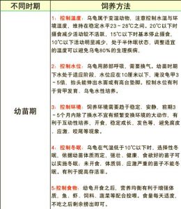 龟龟饲养指南_水陆环境布置与喂养要点