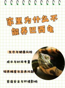 彩色巴西龟为什么不建议养_警惕！彩色巴西龟美丽却危险，染色残忍危害健康，购买需谨慎