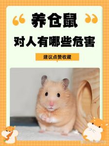 养了一只仓鼠变成人了by_程深变猫被救，妖师追捕警方抓贩子