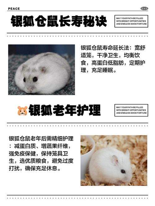 大白鼠的生理寿命一般为_雌鼠寿命长两倍?原因与习惯有关 大白鼠的生理寿命一般为_雌鼠寿命长两倍?原因与习惯有关