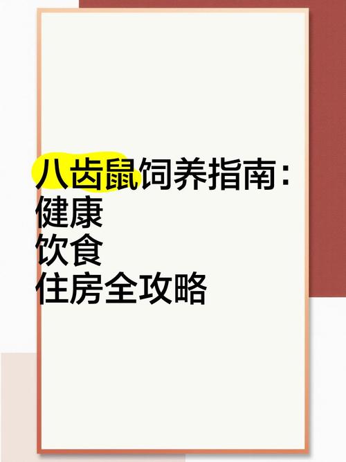 八齿鼠好养吗_亲人长寿好伙伴 八齿鼠好养吗_亲人长寿好伙伴