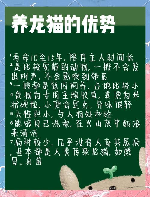 龙猫一般养多久认主人_龙猫一个月认主,耐心互动最重要 龙猫一般养多久认主人_龙猫一个月认主,耐心互动最重要