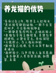 龙猫一般养多久认主人_龙猫一个月认主，耐心互动最重要