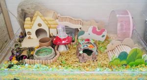 手工制作仓鼠别墅_自制小仓鼠桌面别墅，易打扫观察佳，亚克力或铁网门可选