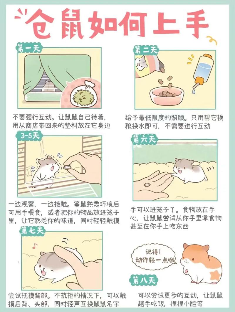 大学生千万不要养仓鼠_宿舍养仓鼠?不划算! 大学生千万不要养仓鼠_宿舍养仓鼠?不划算!