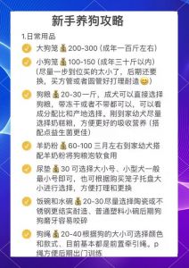 新收养狗需要准备什么东西啊_接新狗狗回家？安全舒适准备全攻略！