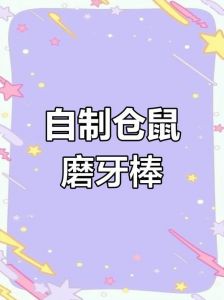 自制仓鼠磨牙棒_自制天然磨牙棒，喂仓鼠安全健康！