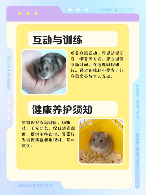 冬天养仓鼠注意事项_仓鼠怕冷?15℃以下易不适,保暖方法看这里! 冬天养仓鼠注意事项_仓鼠怕冷?15℃以下易不适,保暖方法看这里!