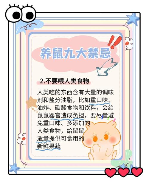 养宠物老鼠的危害_警惕!养宠物老鼠有风险,健康安全需注意 养宠物老鼠的危害_警惕!养宠物老鼠有风险,健康安全需注意