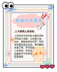 养宠物老鼠的危害_警惕！养宠物老鼠有风险，健康安全需注意