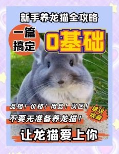 龙猫为什么不建议养_龙猫虽萌，养需慎重