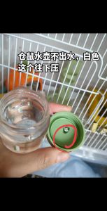 在家自制仓鼠喂水器_仓鼠喂水小妙招，碟子瓶子都行