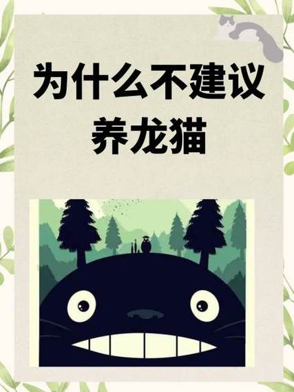 养龙猫的十大危害_养龙猫挑战多,需细心照料 养龙猫的十大危害_养龙猫挑战多,需细心照料