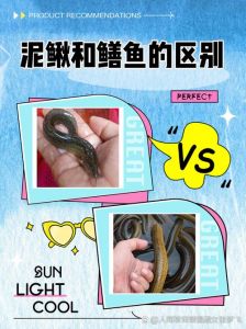 ph值7.5适合沙鳅吗_pH值控制关键